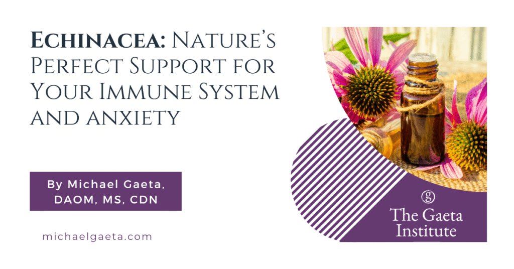 Echinacea: Nature’s Perfect Support for Your Immune System and Anxiety